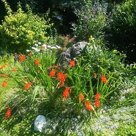 Schreieck Maria * Hofen